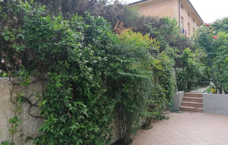 L’angolino apartment